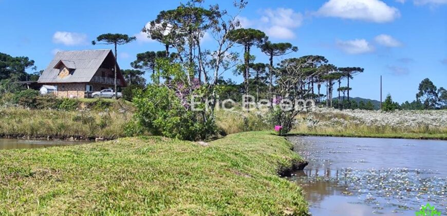 Sítio com Casa de 244m², 4,5 Hectares, 2 Lagos e Belíssimas Araucárias – Queimada Grande, Rancho Queimado/SC