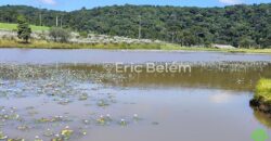 Sítio com Casa de 244m², 4,5 Hectares, 2 Lagos e Belíssimas Araucárias – Queimada Grande, Rancho Queimado/SC