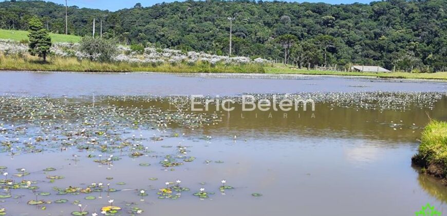Sítio com Casa de 244m², 4,5 Hectares, 2 Lagos e Belíssimas Araucárias – Queimada Grande, Rancho Queimado/SC