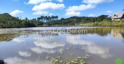 Sítio com Casa de 244m², 4,5 Hectares, 2 Lagos e Belíssimas Araucárias – Queimada Grande, Rancho Queimado/SC