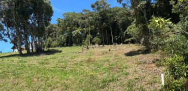 Terreno de 1100m² Condominio Santa Rita Golf