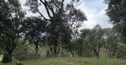 Terreno Village da Montanha – 151 Villa da Prado