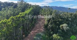 Área de 8 Hectares com Vista Panorâmica e Água Natural – Próximo à SC-108 | Anitápolis/SC