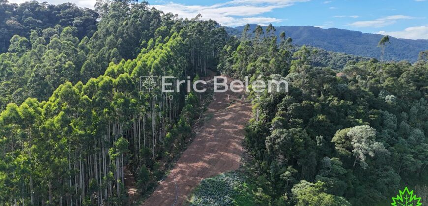 Área de 8 Hectares com Vista Panorâmica e Água Natural – Próximo à SC-108 | Anitápolis/SC