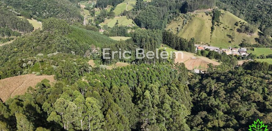 Área de 8 Hectares com Vista Panorâmica e Água Natural – Próximo à SC-108 | Anitápolis/SC