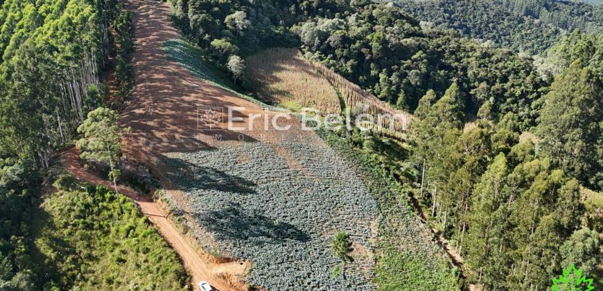 Área de 8 Hectares com Vista Panorâmica e Água Natural – Próximo à SC-108 | Anitápolis/SC
