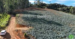 Área de 8 Hectares com Vista Panorâmica e Água Natural – Próximo à SC-108 | Anitápolis/SC