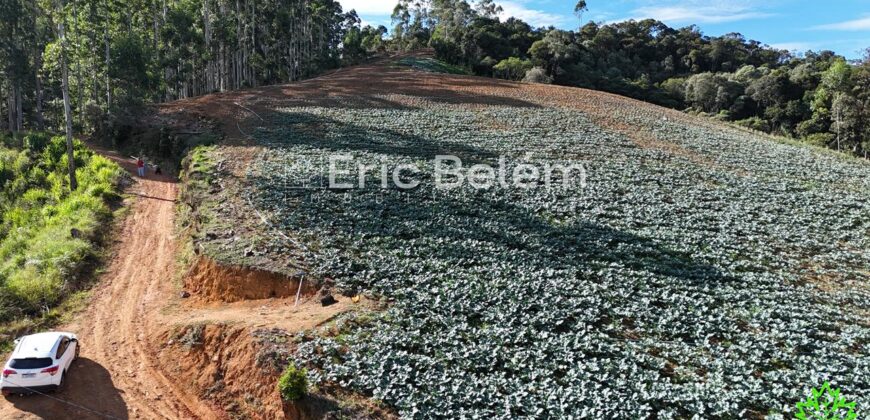 Área de 8 Hectares com Vista Panorâmica e Água Natural – Próximo à SC-108 | Anitápolis/SC