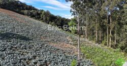 Área de 8 Hectares com Vista Panorâmica e Água Natural – Próximo à SC-108 | Anitápolis/SC