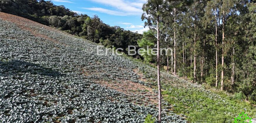 Área de 8 Hectares com Vista Panorâmica e Água Natural – Próximo à SC-108 | Anitápolis/SC