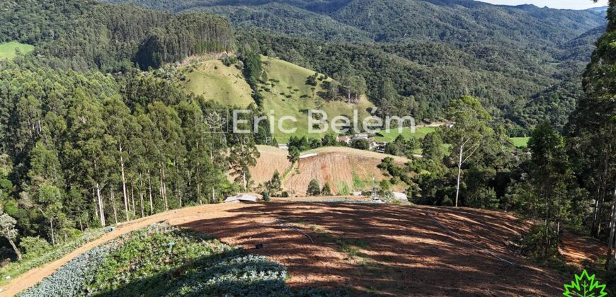 Área de 8 Hectares com Vista Panorâmica e Água Natural – Próximo à SC-108 | Anitápolis/SC