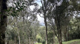 Terreno 153 Village da Montanha Villa do Prado