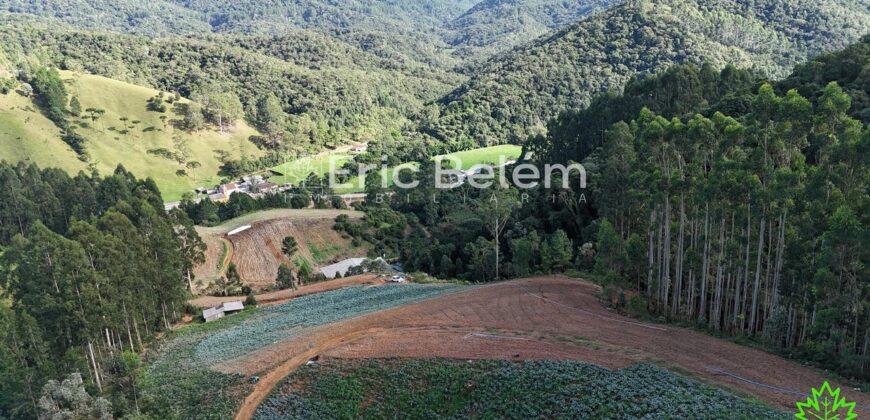 Área de 8 Hectares com Vista Panorâmica e Água Natural – Próximo à SC-108 | Anitápolis/SC