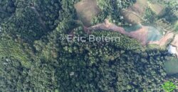 Área de 8 Hectares com Vista Panorâmica e Água Natural – Próximo à SC-108 | Anitápolis/SC