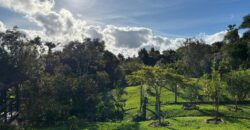 Casa Charmosa Condominio Amigos do Rancho