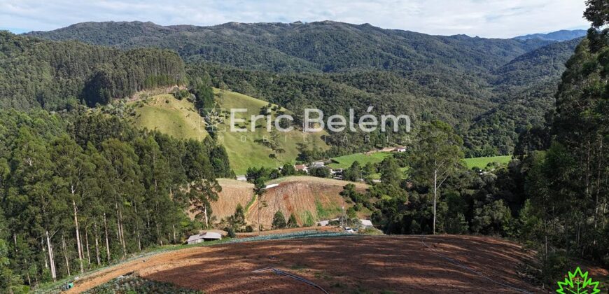 Área de 8 Hectares com Vista Panorâmica e Água Natural – Próximo à SC-108 | Anitápolis/SC
