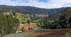 Área de 8 Hectares com Vista Panorâmica e Água Natural – Próximo à SC-108 | Anitápolis/SC