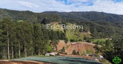 Área de 8 Hectares com Vista Panorâmica e Água Natural – Próximo à SC-108 | Anitápolis/SC