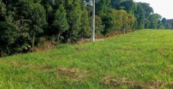 Ótima chácara, com vista, no Condomínio Palo Alto em Taquaras – Rancho Queimado – SC – PA18