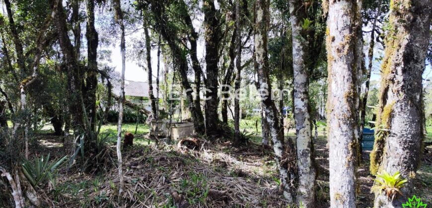 Terreno Rural de 3 Hectares com Casa, Galpão e Natureza Preservada – Queimada Grande, Rancho Queimado/SC