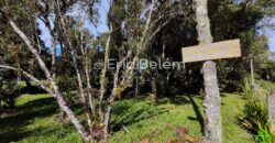 Terreno Rural de 3 Hectares com Casa, Galpão e Natureza Preservada – Queimada Grande, Rancho Queimado/SC