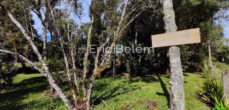 Terreno Rural de 3 Hectares com Casa, Galpão e Natureza Preservada – Queimada Grande, Rancho Queimado/SC