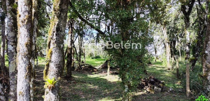 Terreno Rural de 3 Hectares com Casa, Galpão e Natureza Preservada – Queimada Grande, Rancho Queimado/SC