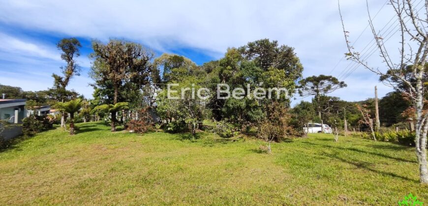 Terreno Rural de 3 Hectares com Casa, Galpão e Natureza Preservada – Queimada Grande, Rancho Queimado/SC
