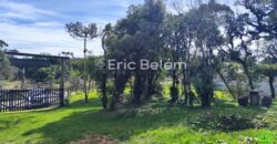 Terreno Rural de 3 Hectares com Casa, Galpão e Natureza Preservada – Queimada Grande, Rancho Queimado/SC