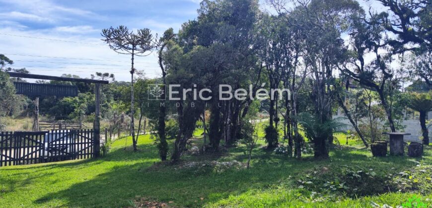 Terreno Rural de 3 Hectares com Casa, Galpão e Natureza Preservada – Queimada Grande, Rancho Queimado/SC