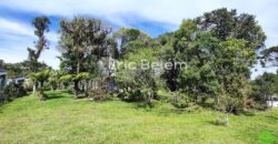 Terreno Rural de 3 Hectares com Casa, Galpão e Natureza Preservada – Queimada Grande, Rancho Queimado/SC