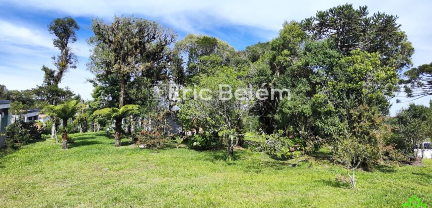 Terreno Rural de 3 Hectares com Casa, Galpão e Natureza Preservada – Queimada Grande, Rancho Queimado/SC