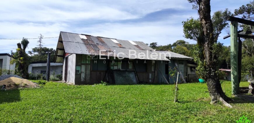 Terreno Rural de 3 Hectares com Casa, Galpão e Natureza Preservada – Queimada Grande, Rancho Queimado/SC