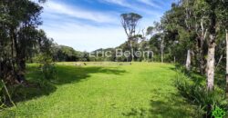 Terreno Rural de 3 Hectares com Casa, Galpão e Natureza Preservada – Queimada Grande, Rancho Queimado/SC