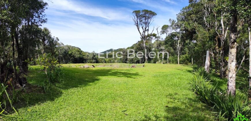 Terreno Rural de 3 Hectares com Casa, Galpão e Natureza Preservada – Queimada Grande, Rancho Queimado/SC