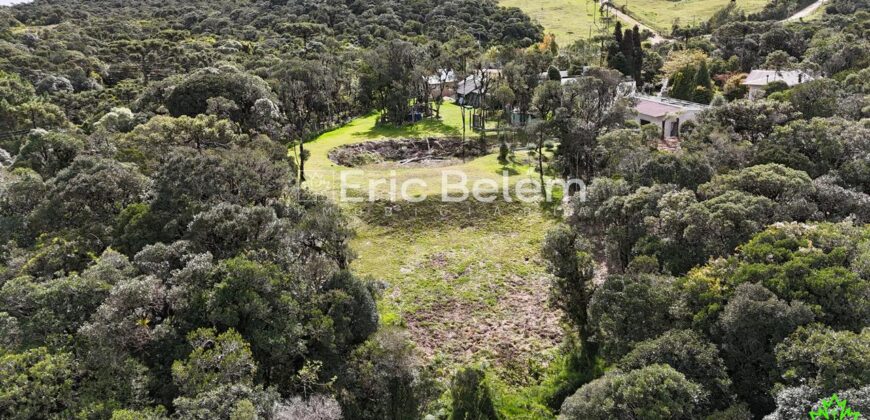 Terreno Rural de 3 Hectares com Casa, Galpão e Natureza Preservada – Queimada Grande, Rancho Queimado/SC