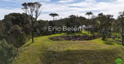 Terreno Rural de 3 Hectares com Casa, Galpão e Natureza Preservada – Queimada Grande, Rancho Queimado/SC