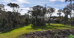 Terreno Rural de 3 Hectares com Casa, Galpão e Natureza Preservada – Queimada Grande, Rancho Queimado/SC