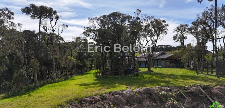 Terreno Rural de 3 Hectares com Casa, Galpão e Natureza Preservada – Queimada Grande, Rancho Queimado/SC