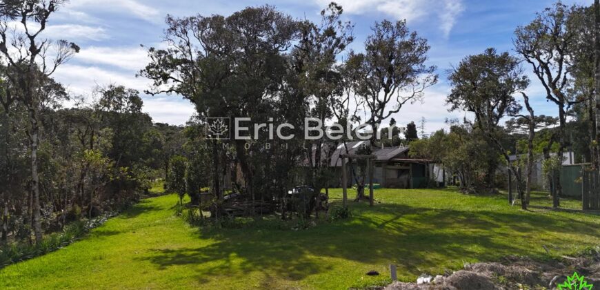 Terreno Rural de 3 Hectares com Casa, Galpão e Natureza Preservada – Queimada Grande, Rancho Queimado/SC