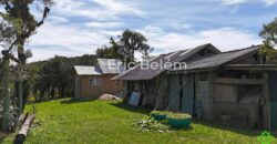 Terreno Rural de 3 Hectares com Casa, Galpão e Natureza Preservada – Queimada Grande, Rancho Queimado/SC