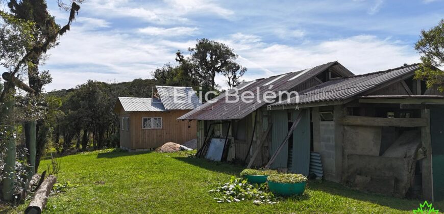 Terreno Rural de 3 Hectares com Casa, Galpão e Natureza Preservada – Queimada Grande, Rancho Queimado/SC