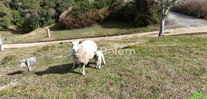 TERRENO DE 400m² NO CONDOMÍNIO PORTAL DA SERRA – RANCHO QUEIMADO/SC