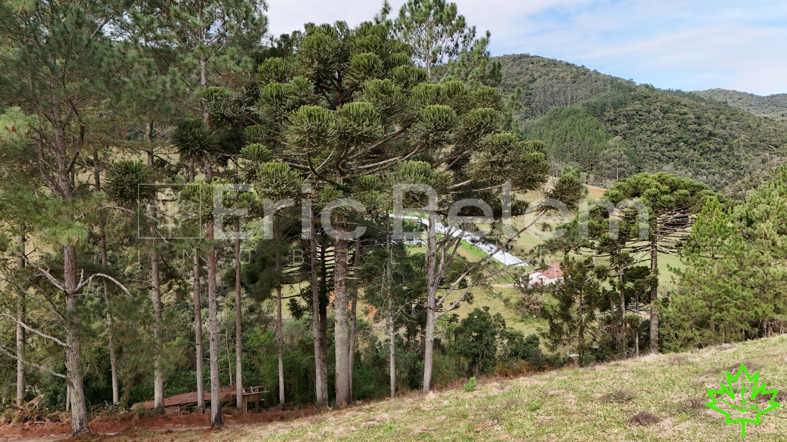 SÍTIO RURAL COM 6,4 HECTARES, CACHOEIRA E LINDA VISTA PARA O VALE – RIO SCHARF | RANCHO QUEIMADO/SC